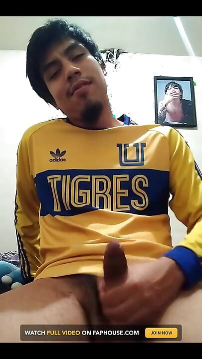 Hajde Tigres, vraćam se bogat.