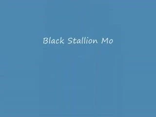 Silver Stallion and Levi BBC Doggy