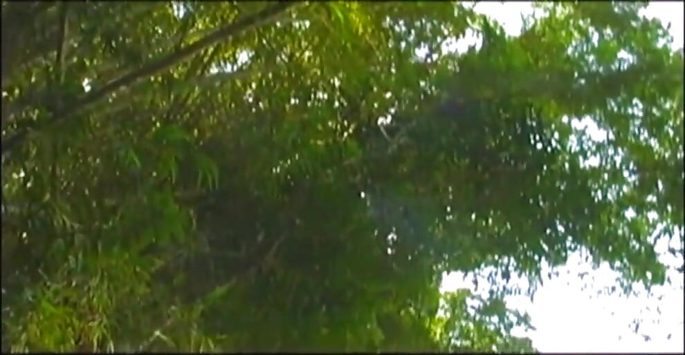 Lesbijski seks na pustynnej wyspie