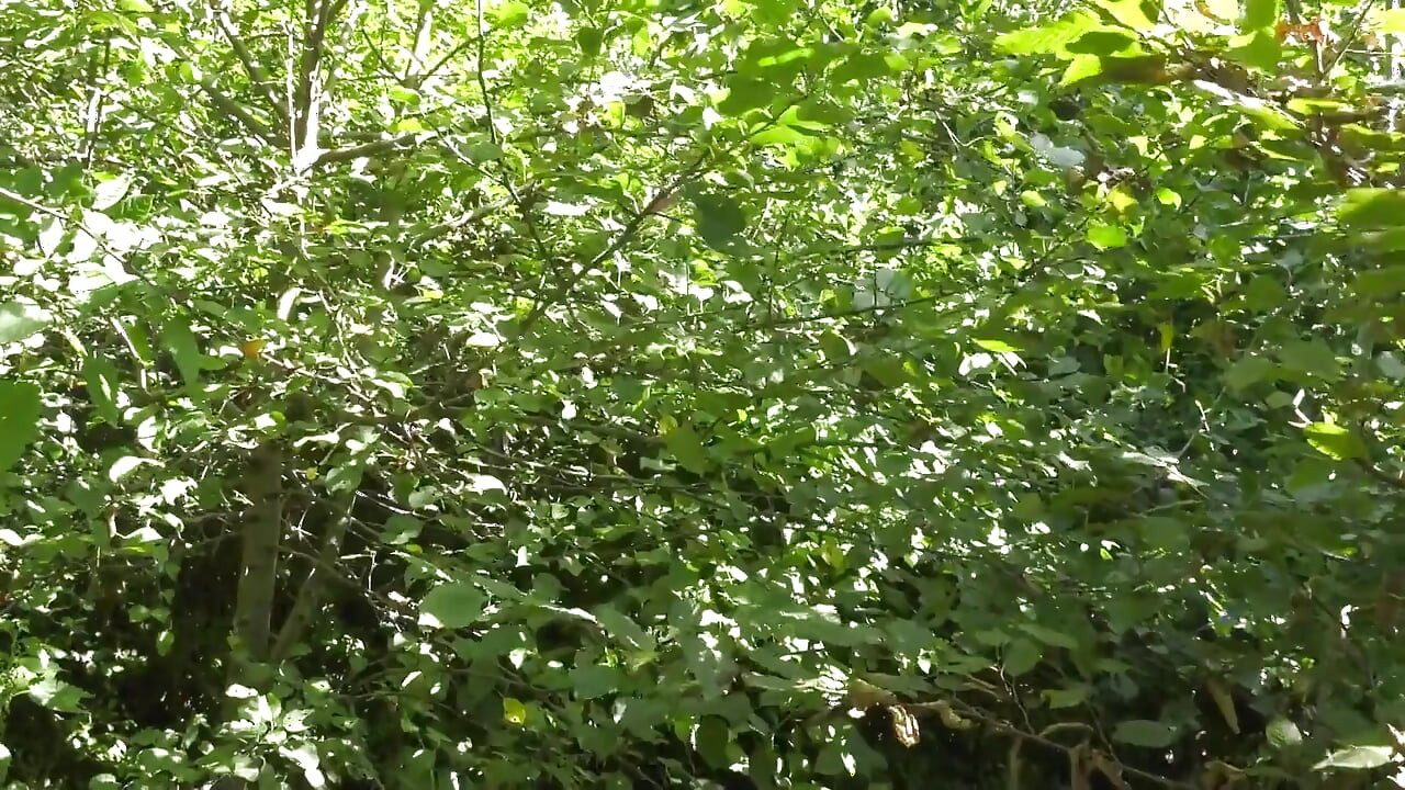 Máy bay bà già tóc vàng tuyệt vời bú con cu to của Pháp 5200