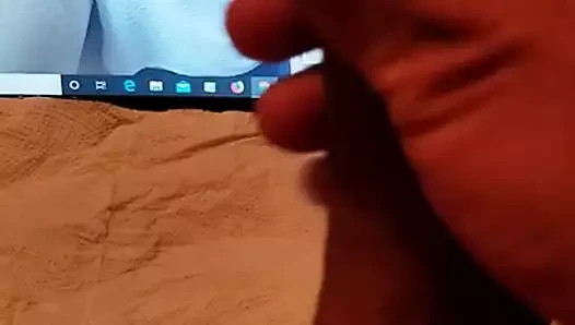kedi kedi