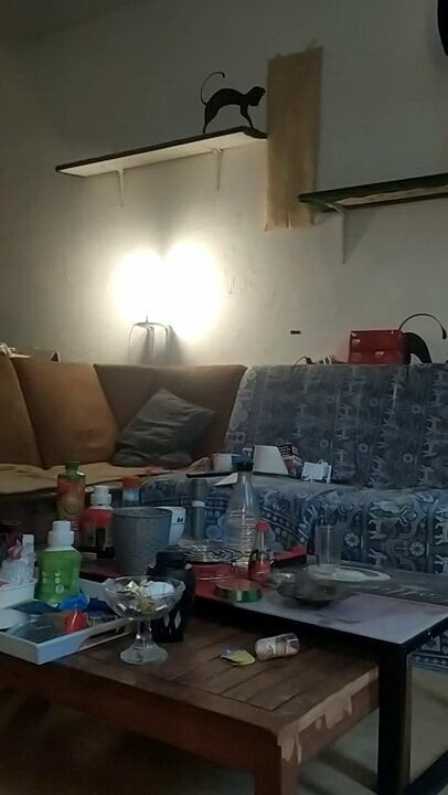 Người vắt sữa