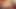 CD Latino Twerking Huge Dildo