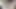 الملاك الآسيوي 25325