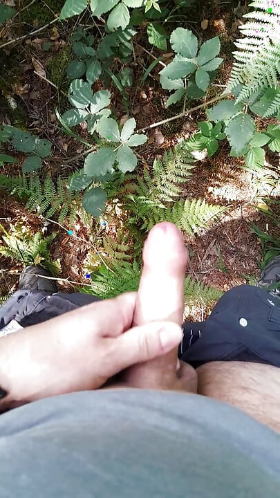 Quick jerk and cumshot in the woods