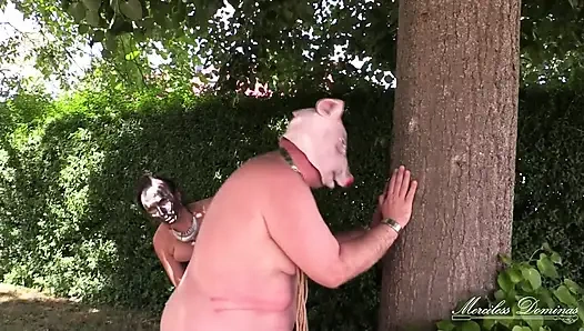 Ты шаловливая свинья