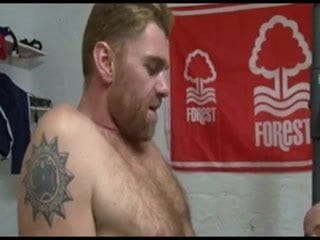 Rugby bears