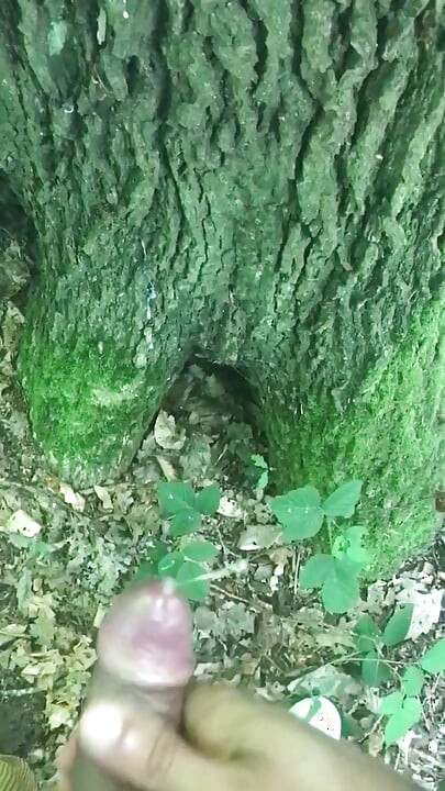 Ilikeitwhen cum tribute in the forest