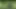 bear haryi fuckin in the public garden amazin risky exhib