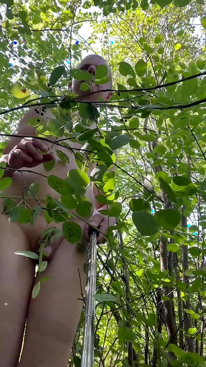 Stripping and Walking in the park