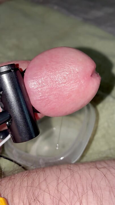 Precum drool