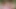 Picnic in Mountains Turned Into Hot Lesbian Sex with Pee Play!