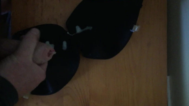 Having a wank with my Sister in Laws Bra
