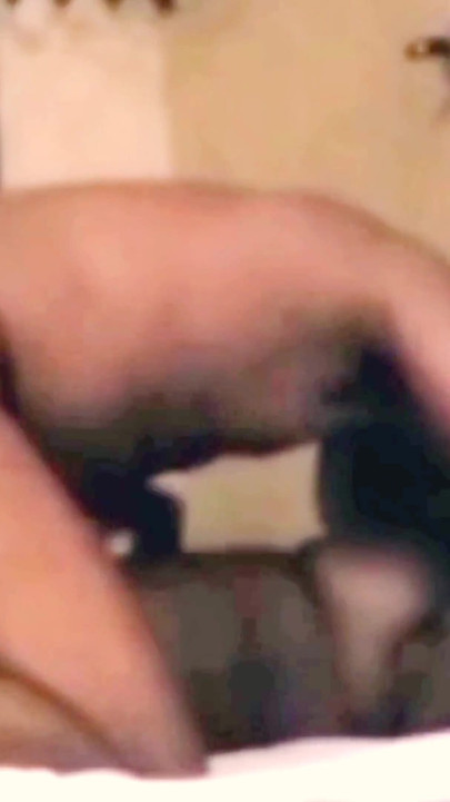 Desi Uncut Tamil Exotic Wife's Pussy Licked Missionary & Wild Cowgirl on Twitter Bull! Indianhotwifex