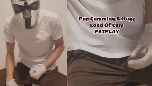 Pup Cumming A Huge Load Of Cum PETPLAY