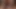 Beautiful Big Black Cock Blowjob 8