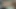 Try out of machine fuck thick 15 inch BBC King Cock dildo