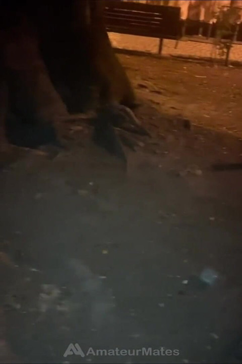 Amateur S. Boy's Dick and Smooth Balls Exposed as He Was Resting in a Park
