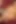 Seksi hatunlar Megan Rain ve Lexi Belle birbirlerinin amının tadına bakmayı seviyor