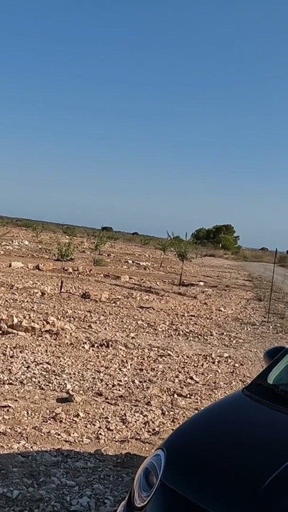 The dirtiest ones like being seen. Open-air compilation. | Clip 2