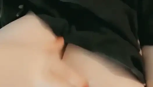 Dicke möpse lieben auf dem sofa