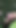 Huge Load - Masturbation in Park. Businessman under pressure.