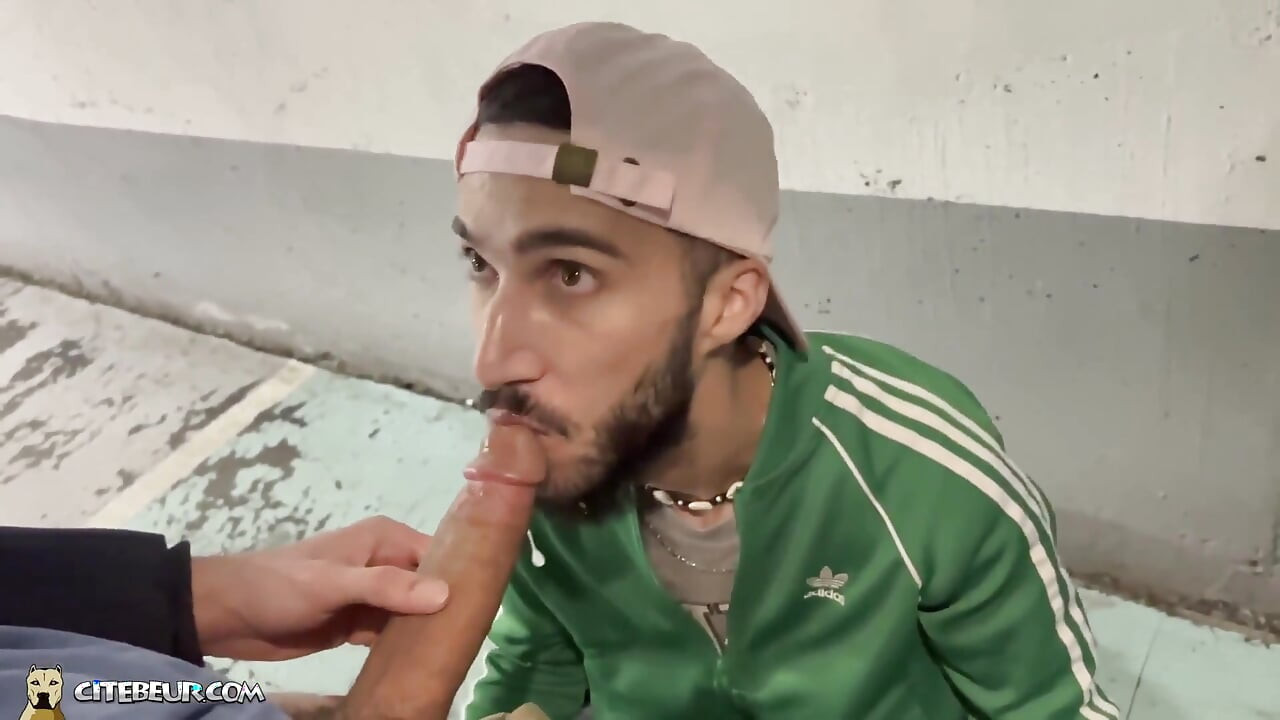 Citebeur - 파리지앵들이 자지를 빨아주는 모습을 보여줘