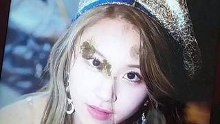 Twice chaeyoung cum (tribute)