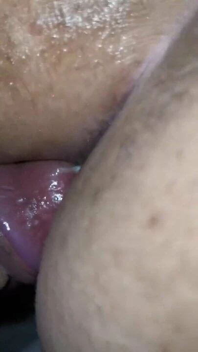 Skelim em 02
