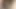 Indian Porn
