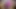 POV Sissy Blowjob