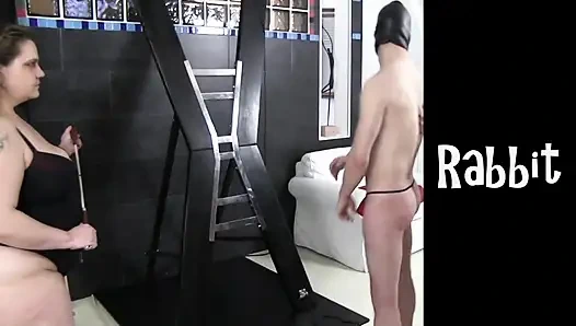 Auspeitschen von sklaven rabbit