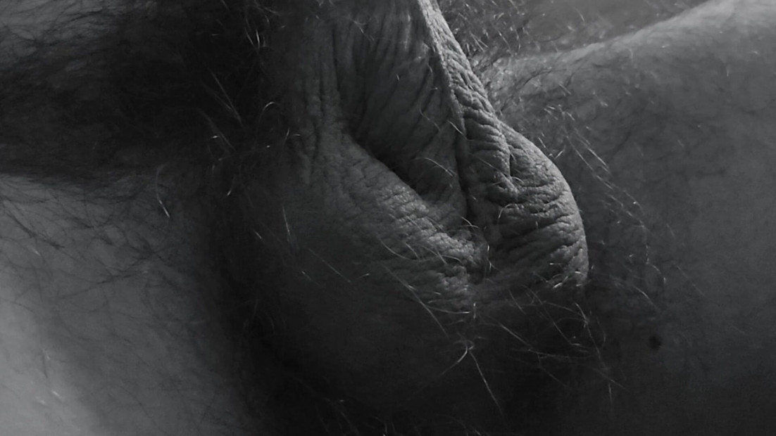 Bush Landscapes
