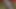 New black boy sexy Hot wife Fuck in my bedroom hard fucking videos Hindi clean audio xxx