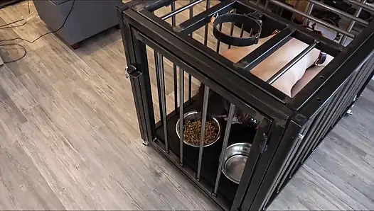 24/7 Cage Keeping of the Slave in Everyday Life