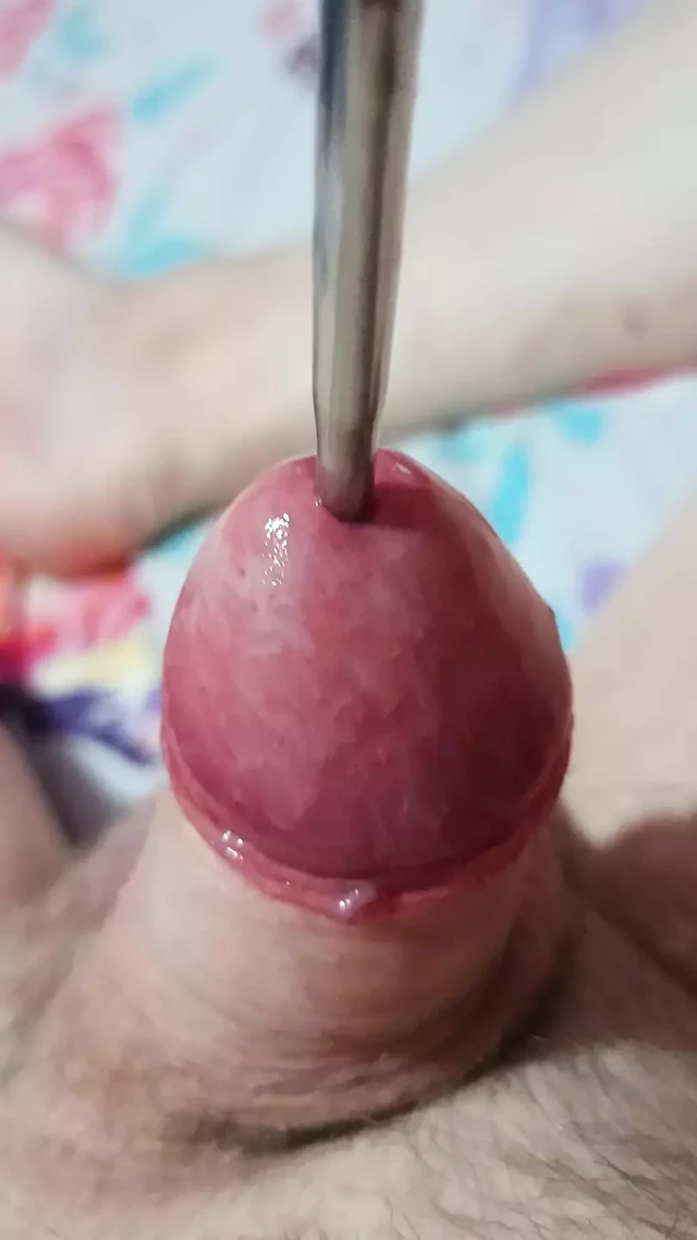Love sounding my cock