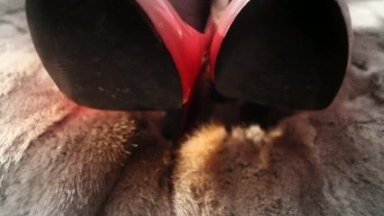 Mangez Erotique