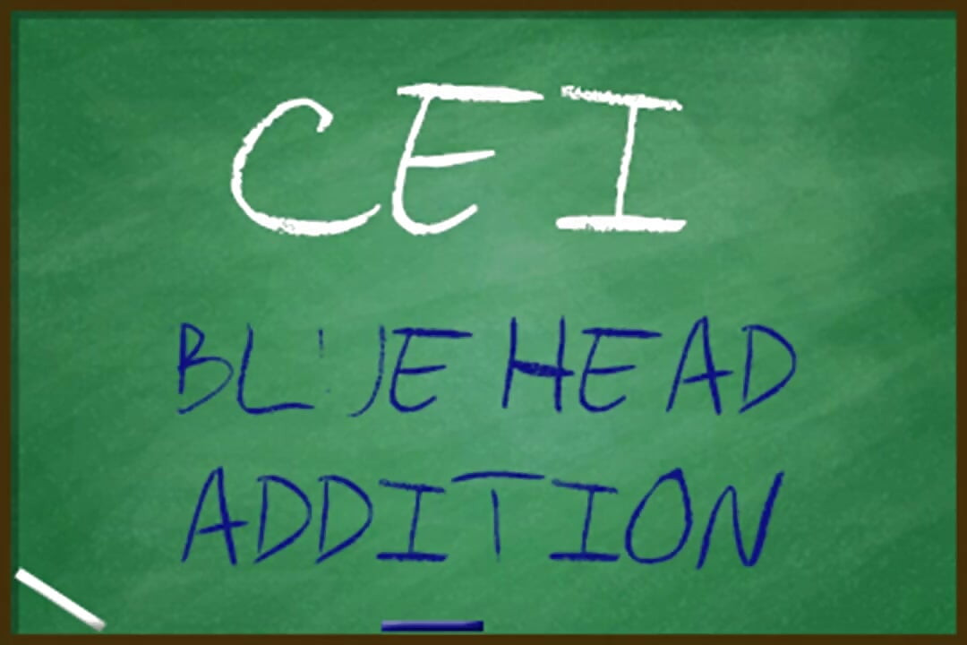 CEI for Really Gay Sissy