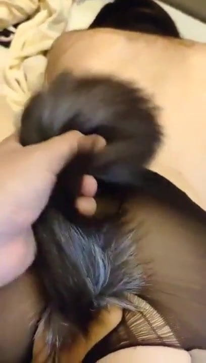 i am a bad dog