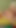 SHAME4K。私の張りのある胸を舐めて黙って | クリップ 3