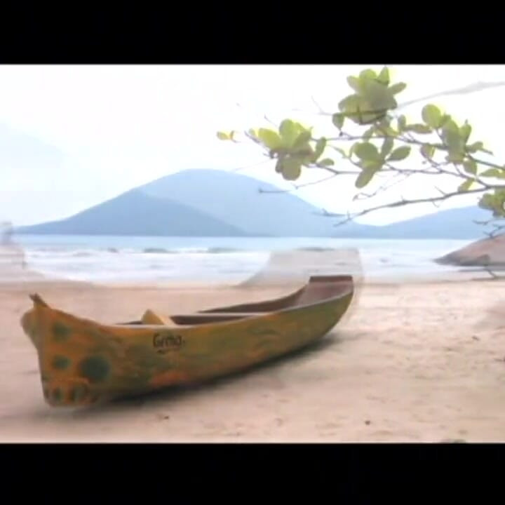 Massive cock on the beach for the bitch