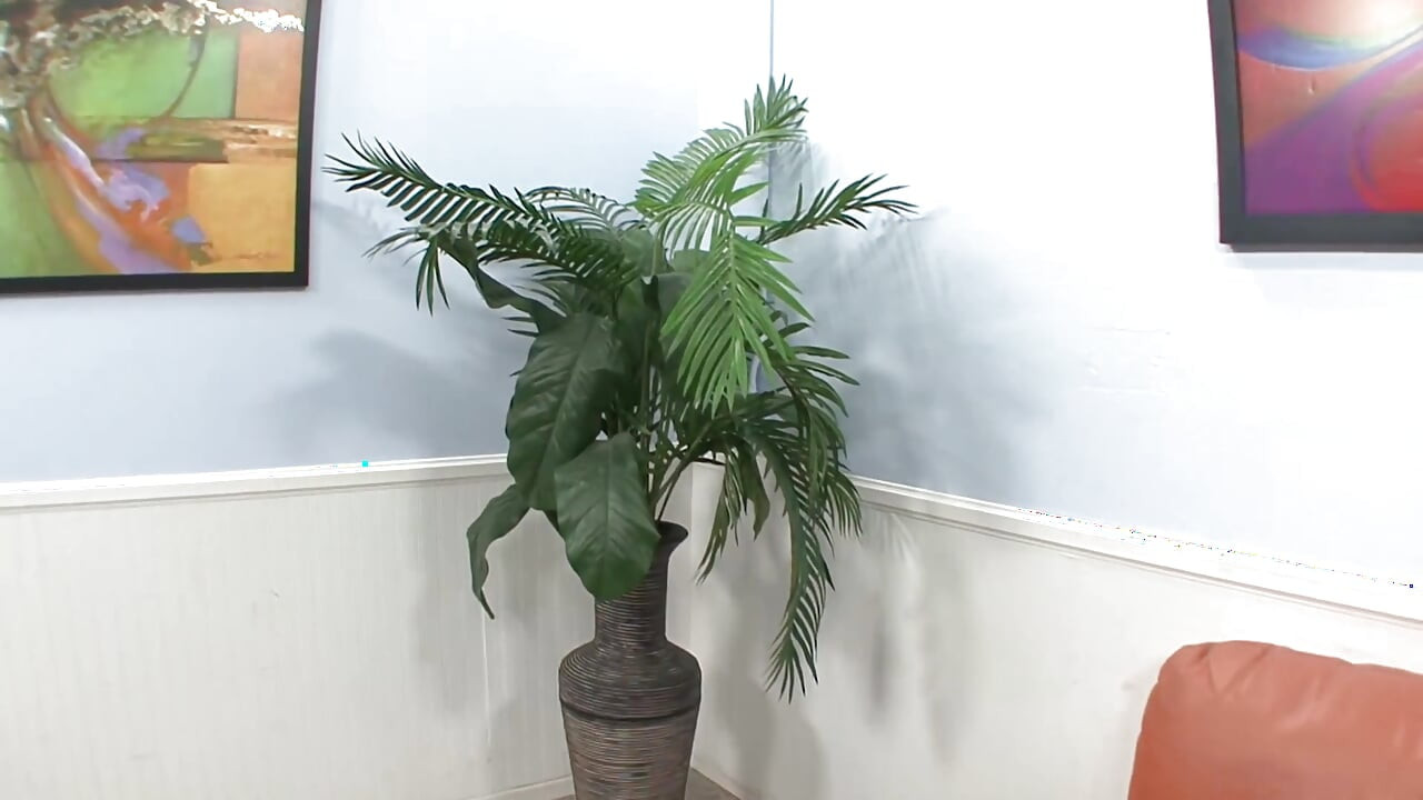 Σκύλα χαϊδεύει την κλειτορίδα ενώ καβαλάει έναν τεράστιο πούτσο για χύσιμο