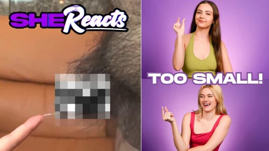 Shereacts- si pecinta kontol serena hill dan gracey snow tertawa sambil ngeliakin kontol besarnya