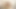 セクシーなミルフ、サディ・ローズが美しい膣を深く指で愛撫する