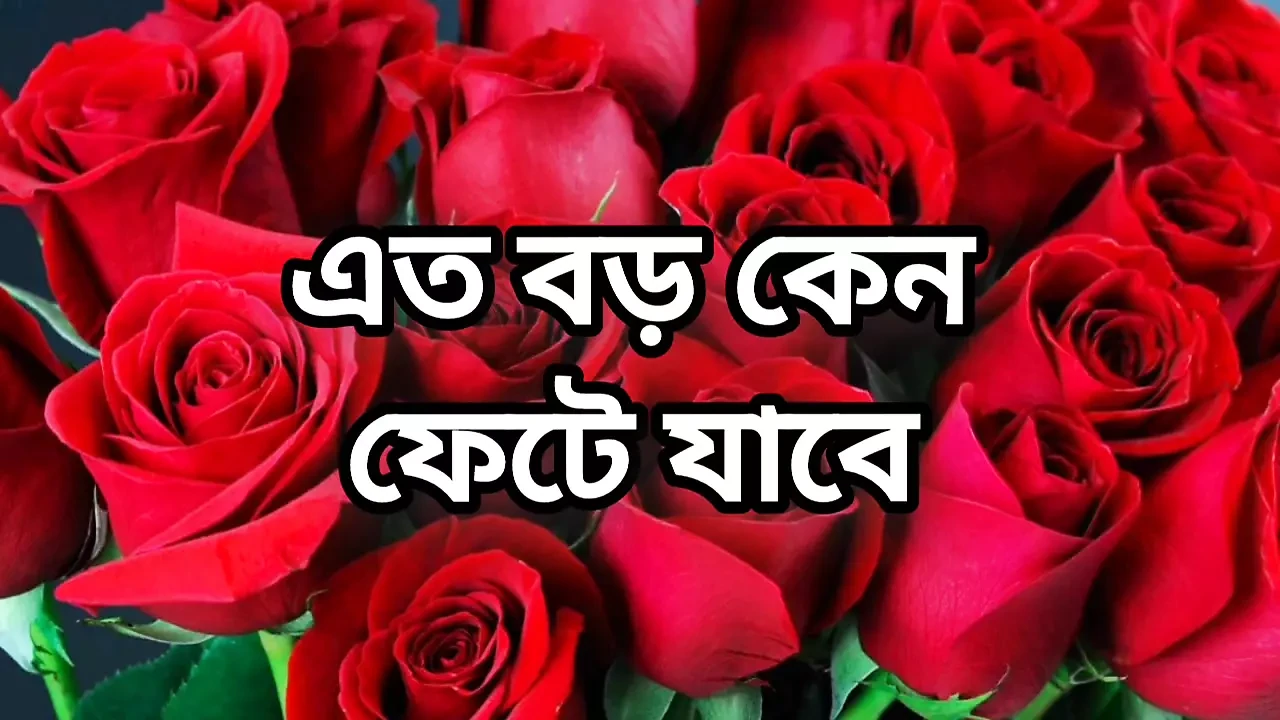 Bangla choti golpo full story in Bangla audio choto golpo beautiful mature saree chachi cheating hasband full story in Bangla