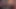 3D Futanari Family Compilation 2