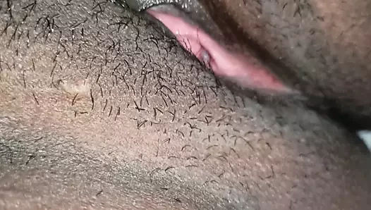 Indian pusy