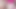 +16 ASS BLONDE TRANSGENDER CUTE TEEN MODEL CHEERLEADER COLLEGE GIRL MTF UNCENSORED NUDITY WEBCAM MODEL SWEET ASS CROSSDRESSER
