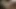 Nicole Doshi, Kendra Sunderland ve August Skye ile yönetici ayrıcalıkları