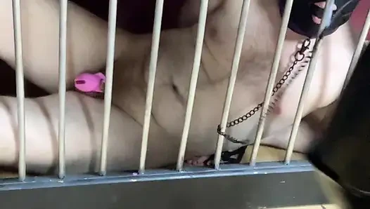 Искушение, разочарование и сопротивление...